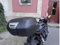 HONDA CBR 650 R 2024 - 3