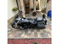 YAMAHA XVS 1300 A MIDNIGHT STAR 2011/4 - 2