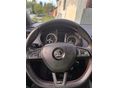 SKODA OCTAVIA 2016/8 - 6
