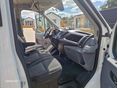 FORD TRANSIT 2016/5 - 6