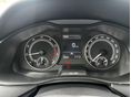 SKODA KAMIQ 2022/1 - 8