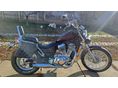 SUZUKI VS Intruder