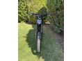 SUR-RON LIGHT BEE X 2020/12 - 2