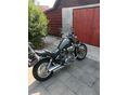 YAMAHA XV 750 (VIRAGO) 1993 - 5