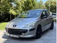 PEUGEOT 307 1.4 16V Profil