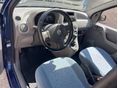 FIAT PANDA 2004/6 - 8