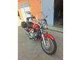 YAMAHA XVS 250 2004/8 - 4