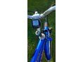 BICYCLE 2020 - 4