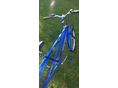 BICYCLE 2020 - 5
