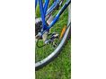 BICYCLE 2020 - 7