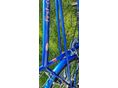BICYCLE 2020 - 8
