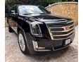 CADILLAC ESCALADE 2020/6 - 5