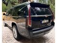 CADILLAC ESCALADE 2020/6 - 9