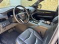 CADILLAC ESCALADE 2020/6 - 10