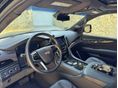 CADILLAC ESCALADE 2020/6 - 11