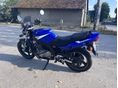 SUZUKI GS 500 E 2004/8 - 6