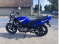 SUZUKI GS 500 E 2004/8 - 7