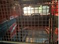 OPEL ASTRA G 2003/9 - 4