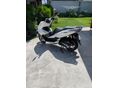 HONDA PCX 125 2025/6 - 2