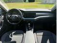 SKODA OCTAVIA 2023/8 - 7