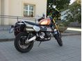 TRIUMPH SCRAMBLER 2022/6 - 6