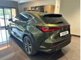 LEXUS NX 2025 - 5