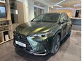 LEXUS NX 2025 - 2