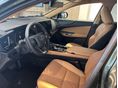 LEXUS NX 2025 - 6