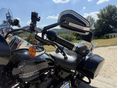 HARLEY-DAVIDSON SOFTAIL 2022/10 - 9