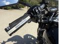 HARLEY-DAVIDSON SOFTAIL 2022/10 - 10