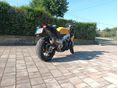 APRILIA TUONO V4 2012/3 - 2