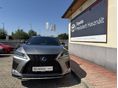 LEXUS RX 2019/12 - 6