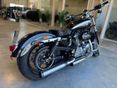 HARLEY-DAVIDSON SPORTSTER 2018/2 - 3