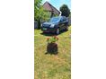 OPEL ANTARA 2.0 CDTI Cosmo