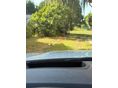 BMW 330 2020/2 - 12