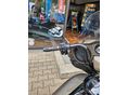 HARLEY-DAVIDSON CVO 2021/2 - 6
