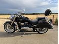 SUZUKI VL 800 (INTRUDER) c800
