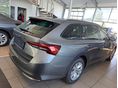 SKODA OCTAVIA 2026/7 - 3
