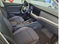 SKODA OCTAVIA 2026/7 - 5