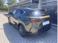 LEXUS NX 2025/7 - 2