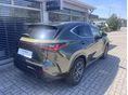 LEXUS NX 2025/7 - 3