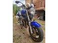 SUZUKI GSF 600 (BANDIT) 2002 - 2