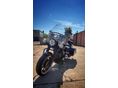 HARLEY-DAVIDSON ROAD KING 2006/12 - 4