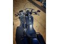 HARLEY-DAVIDSON ROAD KING 2006/12 - 8
