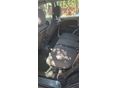 CHRYSLER PT CRUISER 2003 - 6
