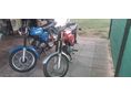 SIMSON S 51 E 1988 - 5