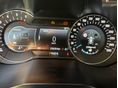 FORD S-MAX 2019/1 - 11