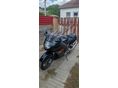HONDA CBR 1100 XX 