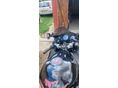 HONDA CBR 1100 XX 2001/5 - 3