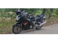 HONDA CBR 1100 XX 2001/5 - 7